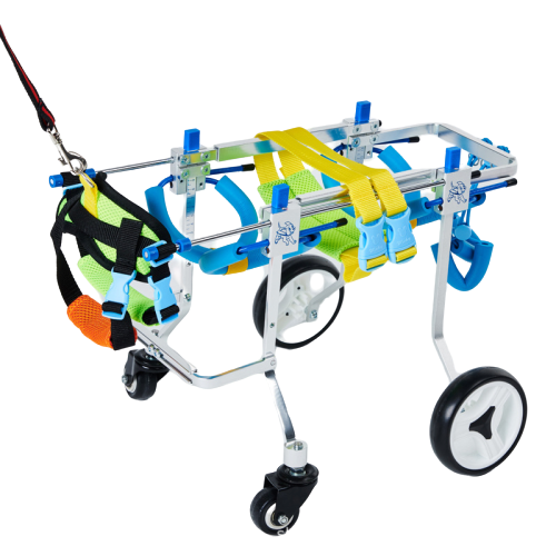 VIVAPET 강아지 휠체어 4륜 애견 재활훈련 보조기 보행기