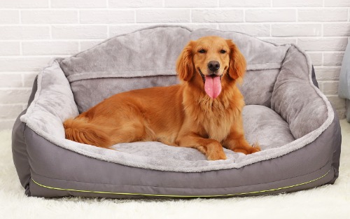 VIVAPET 비바펫 강아지 대형견 방석 침대 쿠션 특대형L