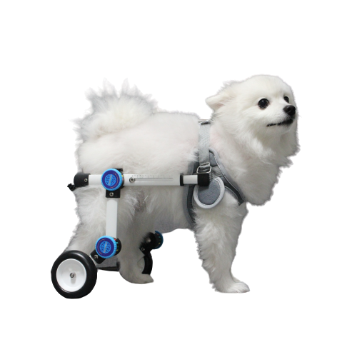 VIVAPET 강아지 휠체어 애견 재활훈련 보조기 2륜
