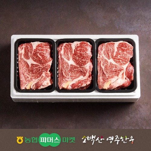 농협영주한우 [냉장] ]실속 가족 등심구이세트2호 (등심x3) / 1.2kg